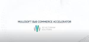 MuleSoft B2B Accelerator