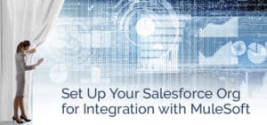 Set Up Your Salesforce Org for Integration with MuleSoft