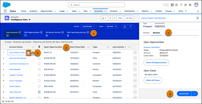 Salesforce Spring '24 Release Notes - Ad Victoriam Salesforce Blog - ew Account Intelligence View