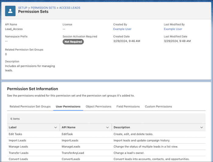 Permission Sets - Salesforce Summer '24 Release